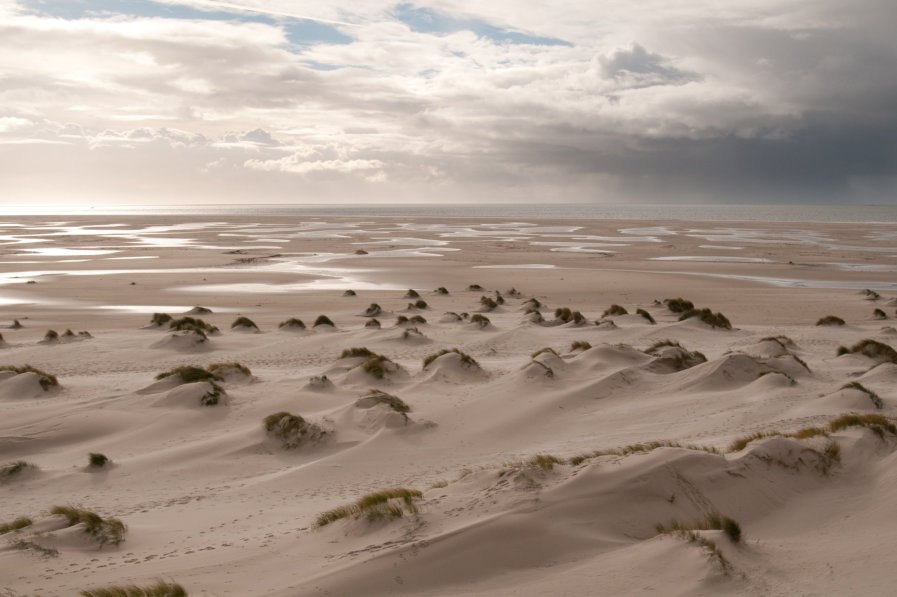 Insel Amrum