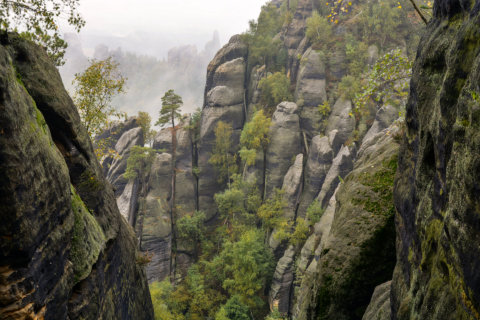 Sächsische Schweiz