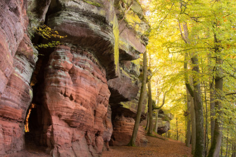 Pfälzer Wald, Altschlossfelsen