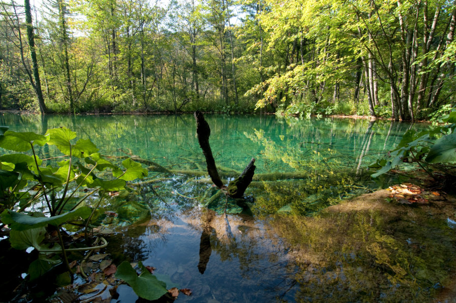 Kroatien, Plitvitzer Seen